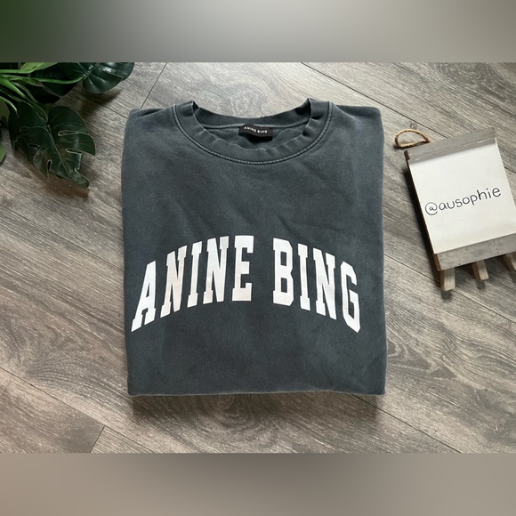 ANINE BING Revolve Distressed Designer Tyler Sweatshirt in Gray White Size XL - Picture 11 of 15